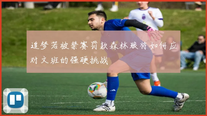 追梦若被禁赛罚款森林狼将如何应对文班的强硬挑战